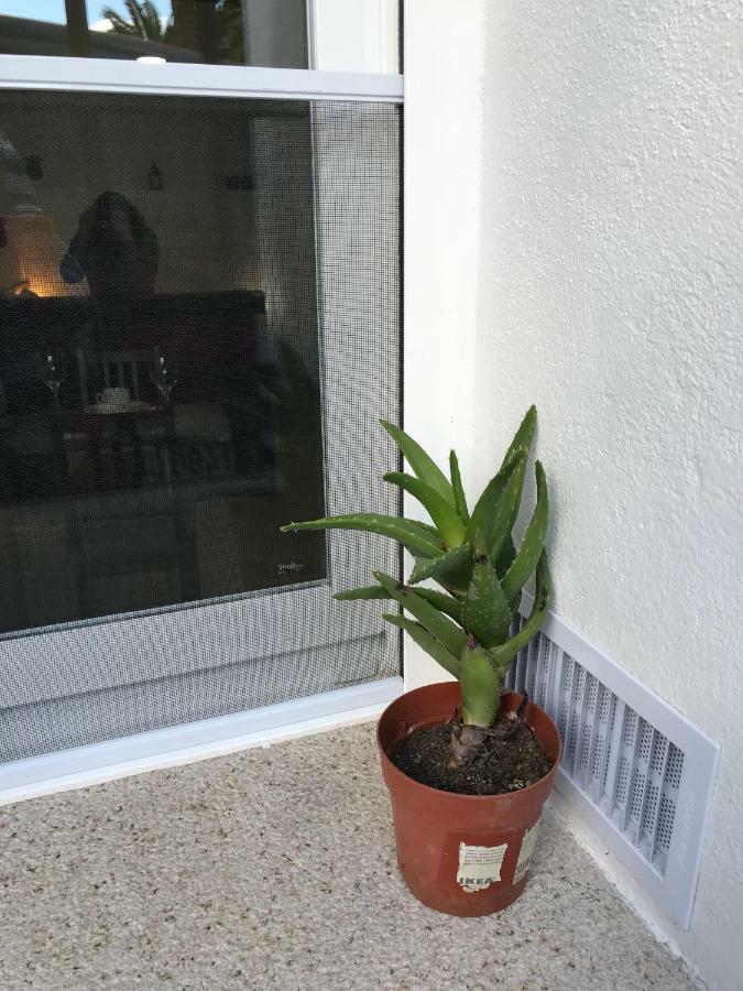 Loft Arco Del Cristo. Apartment Caces Екстериор снимка